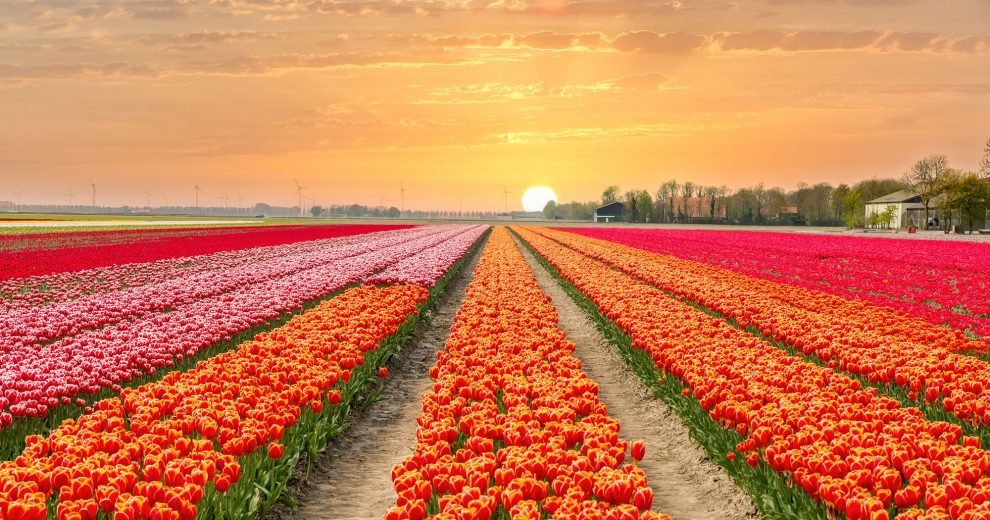 spring equinox