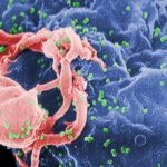 WHO "The coronavirus (COVID 19) may not disappear like HIV"