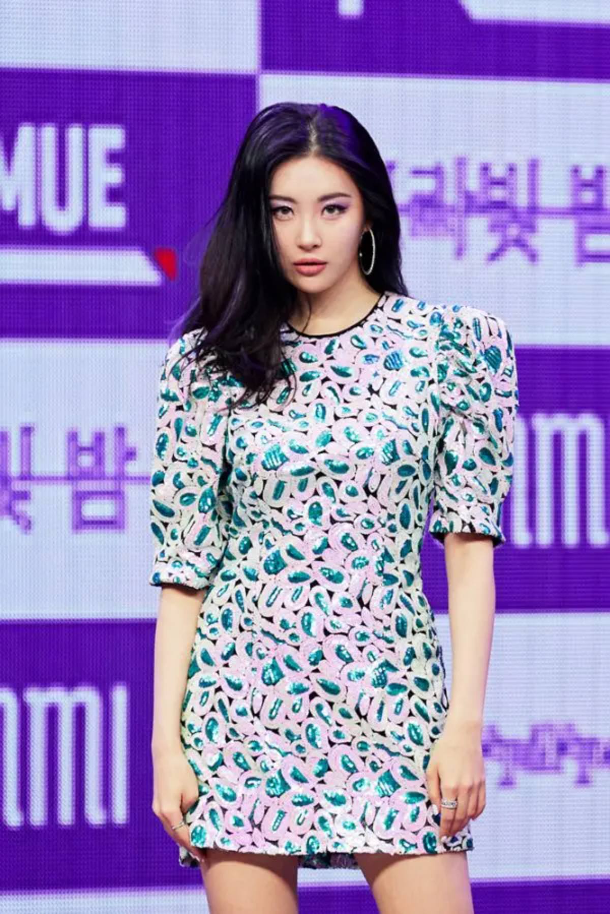 Sunmi fined a 40-year-old Malicious Commenter - Vicious comments are very vulgar