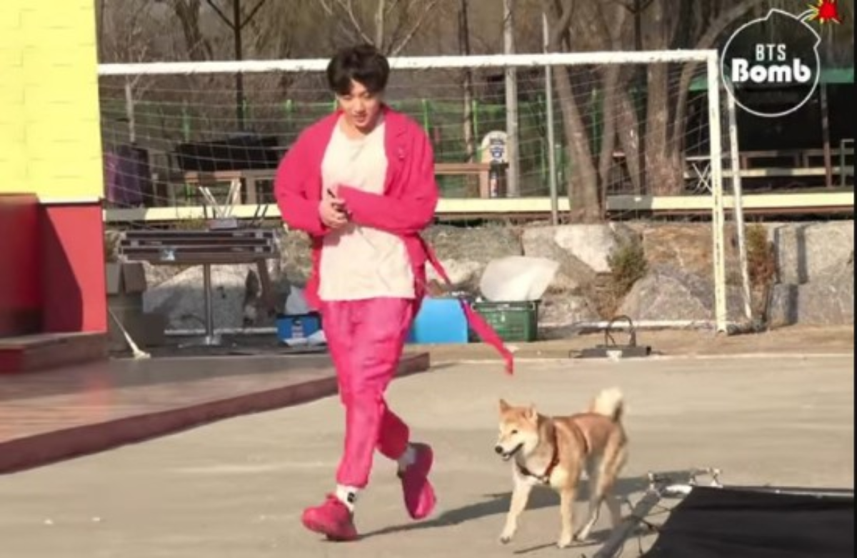 BTS Jungkook, Unique Puppy Walking Method and Shining Visual