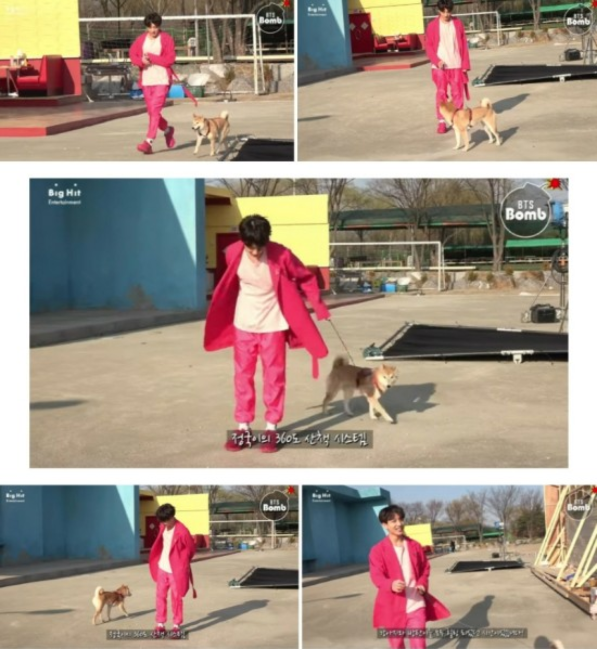 BTS Jungkook, Unique Puppy Walking Method and Shining Visual