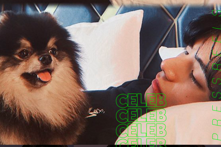 BTS V Uploaded Lovely Photos with his Pet, Tannie
