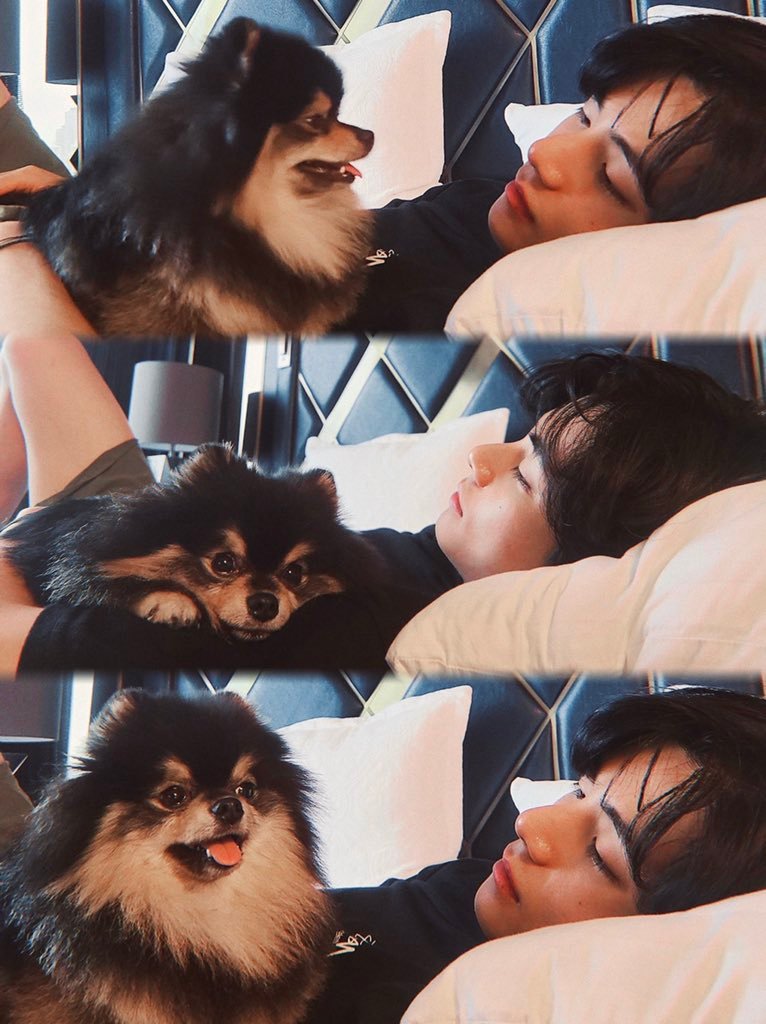 BTS V Uploaded Lovely Photos with his Pet, Tannie