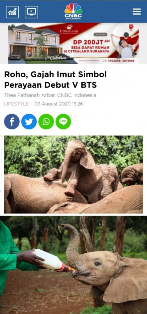 Baby Elephant 'Roho', Adopted him Under the Name of BTS V is the talk of the town